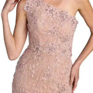 Embellished Lace One Shoulder Feather Gown