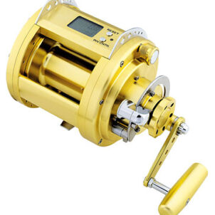 Daiwa Marine Power