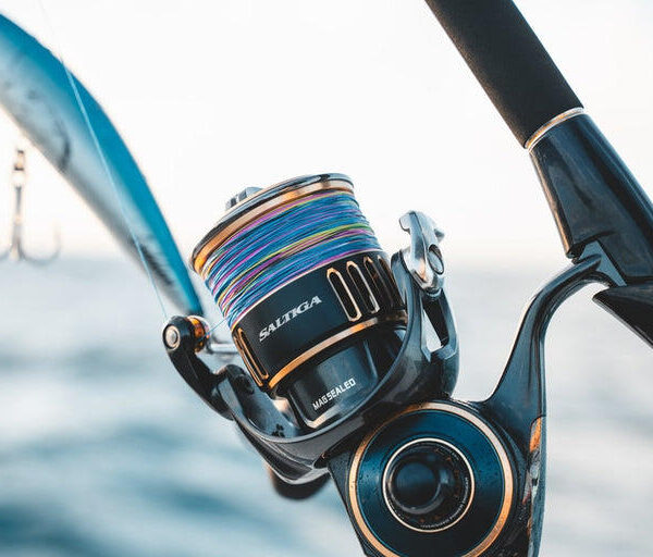 Daiwa Saltiga 18000