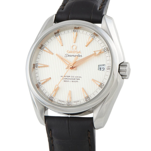 Seamaster Aqua Terra 150M Steel Watch